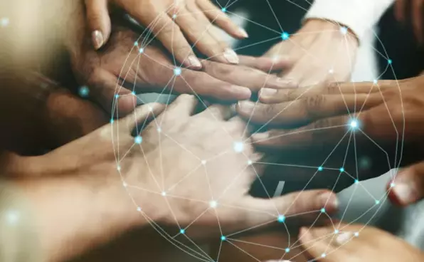 シニア就職支援の調査のカテゴリイメージ